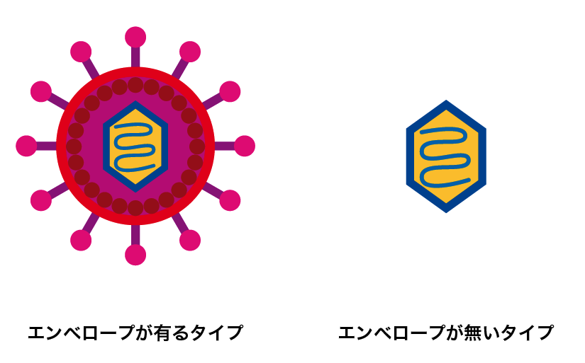 ウイルスのちがい